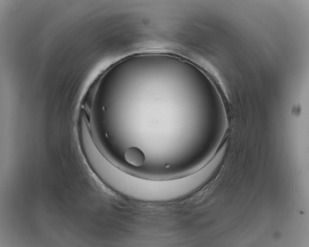 X0000096991472200802151342