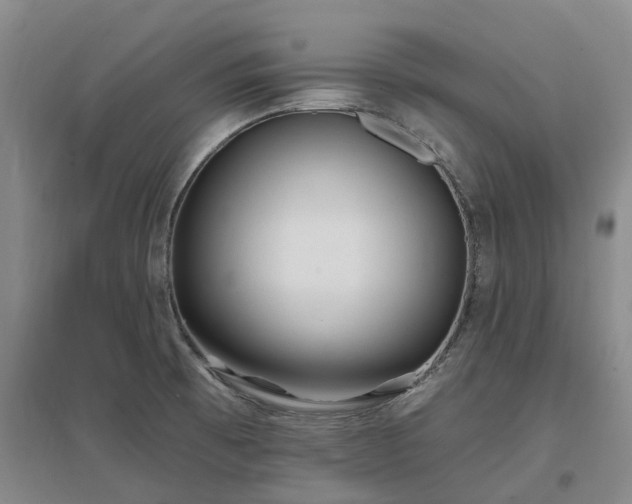 X0000096991473200802151341