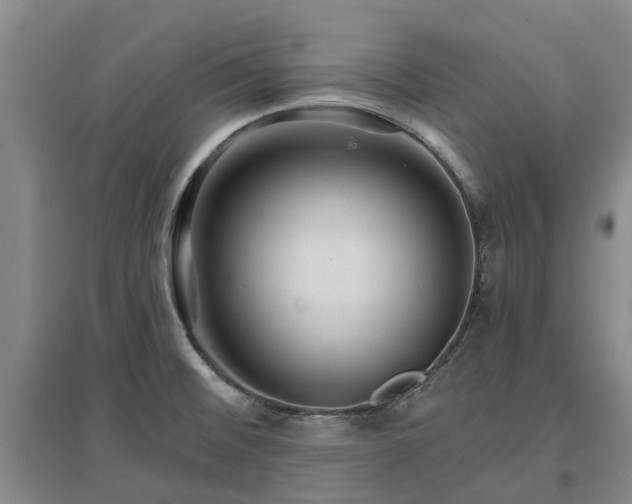 X0000096991476200802151341