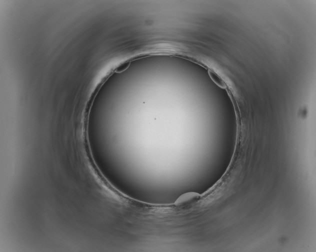 X0000096991477200802151341