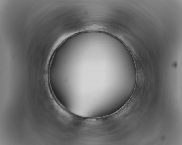 X0000096991478200802151341