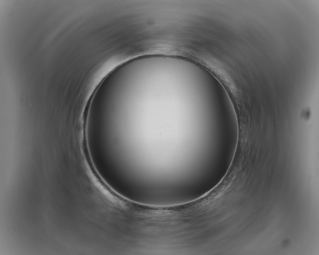 X0000096991479200802151341