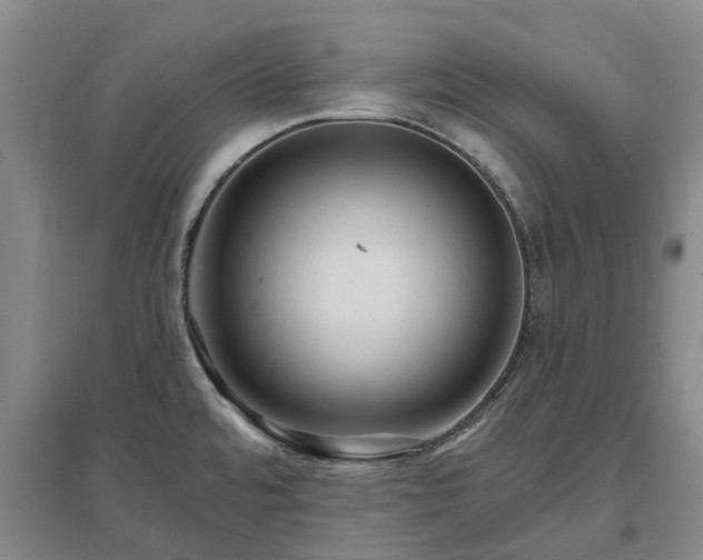 X0000096991480200802151341