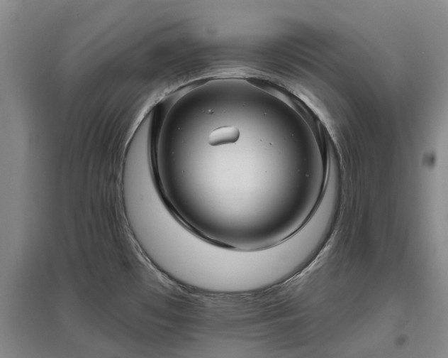 X0000096991481200802151341