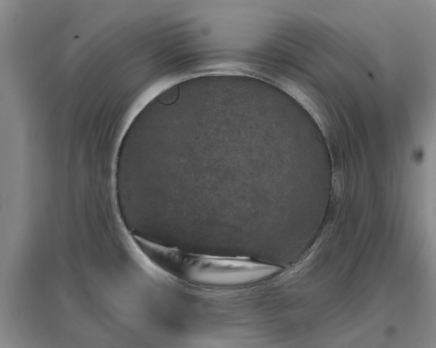 X0000096991482200802151341