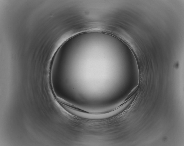 X0000096991483200802151341
