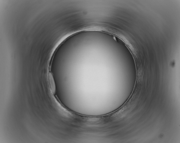 X0000096991484200802151341