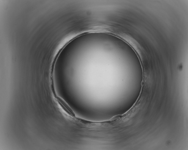X0000096991485200802151341