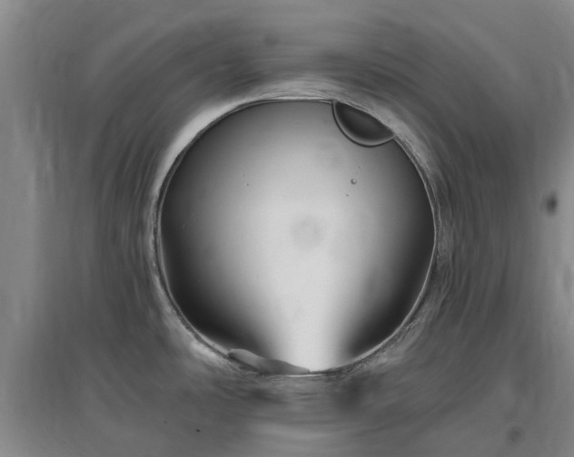 X0000096991486200802151341