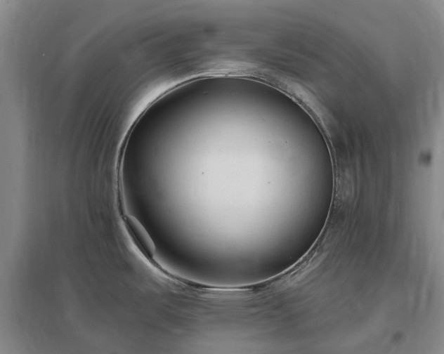 X0000096991487200802151341