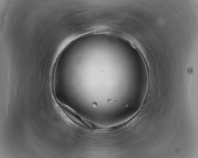 X0000096991488200802151341