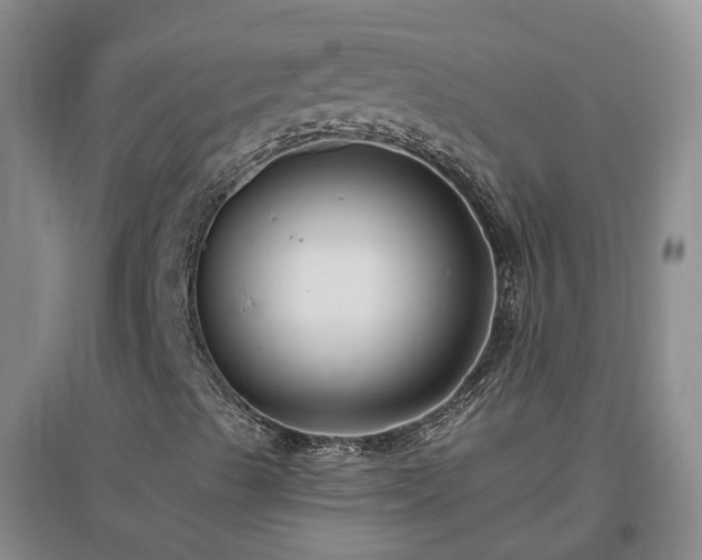 X0000096991489200802151341