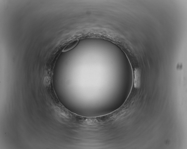 X0000096991491200802151341