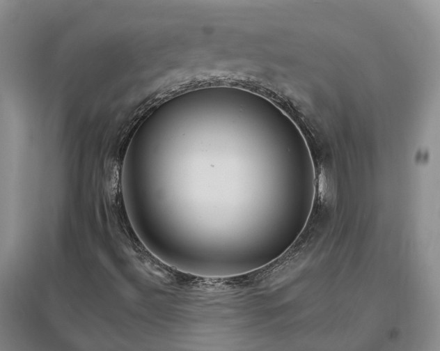 X0000096991492200802151341