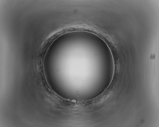 X0000096991494200802151341