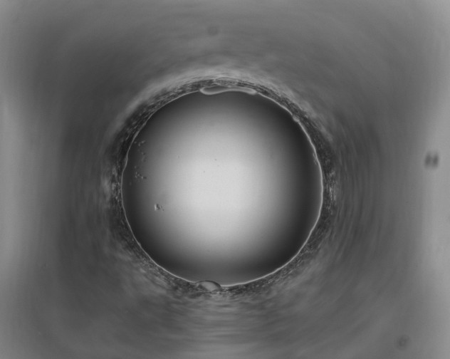 X0000096991495200802151341