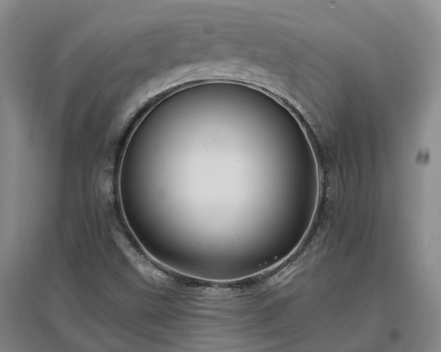 X0000096991499200802151341