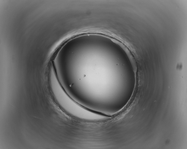 X0000096991502200802151341