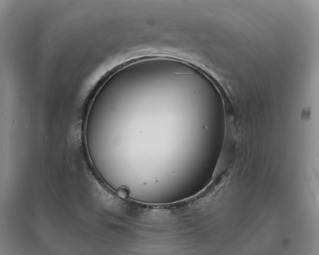 X0000096991503200802151341