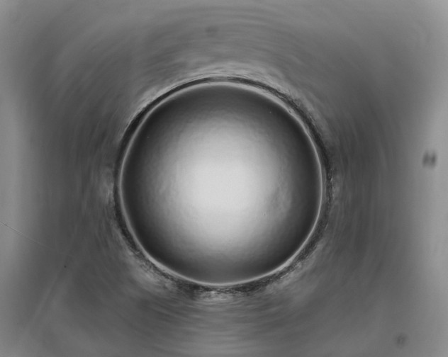 X0000096991505200802151341