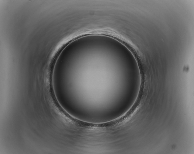 X0000096991506200802151341