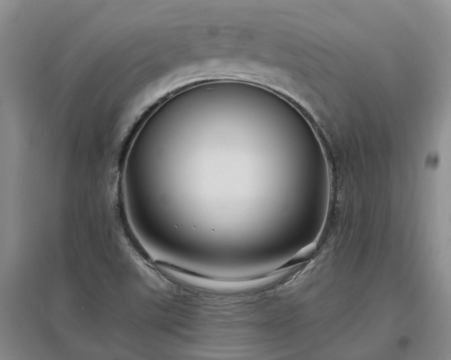 X0000096991507200802151341