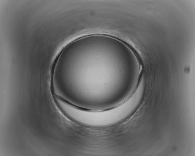 X0000096991508200802151341