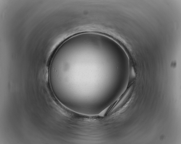 X0000096991509200802151341
