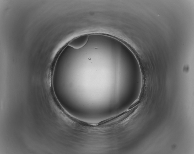 X0000096991510200802151341
