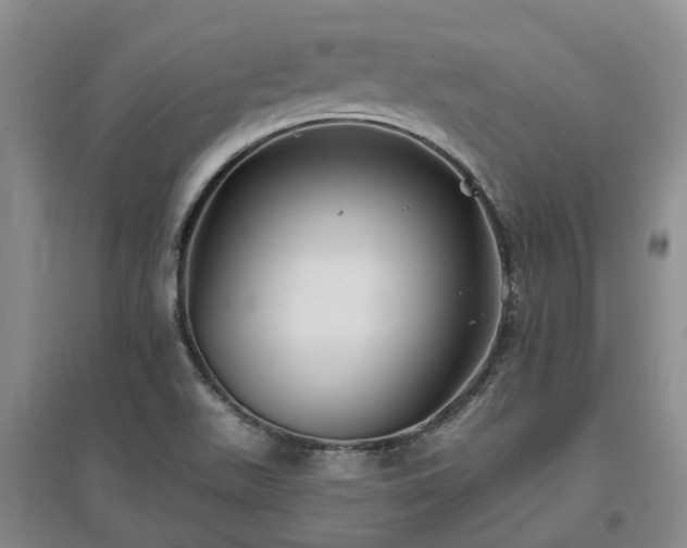 X0000096991511200802151341