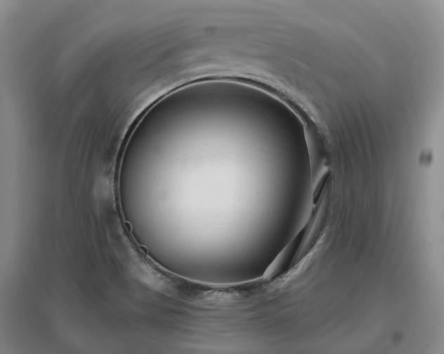 X0000096991513200802151341