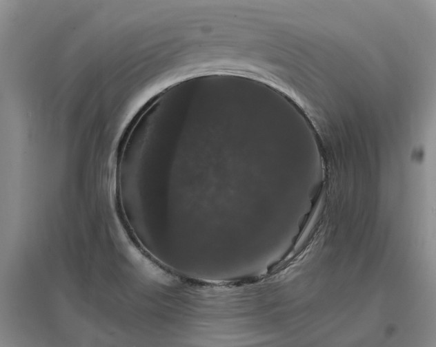X0000096991515200802151341