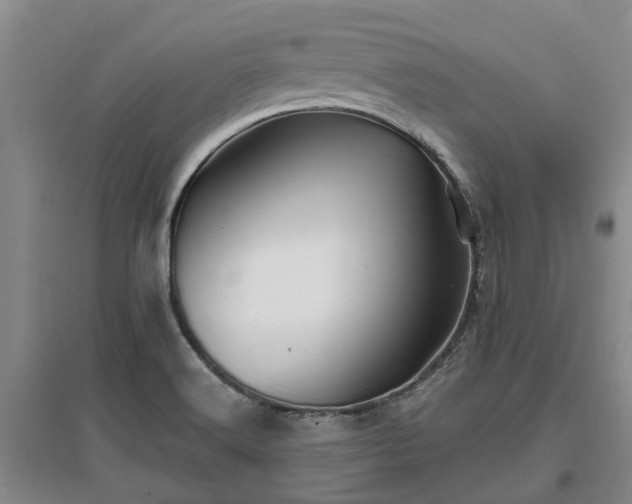 X0000096991516200802151341