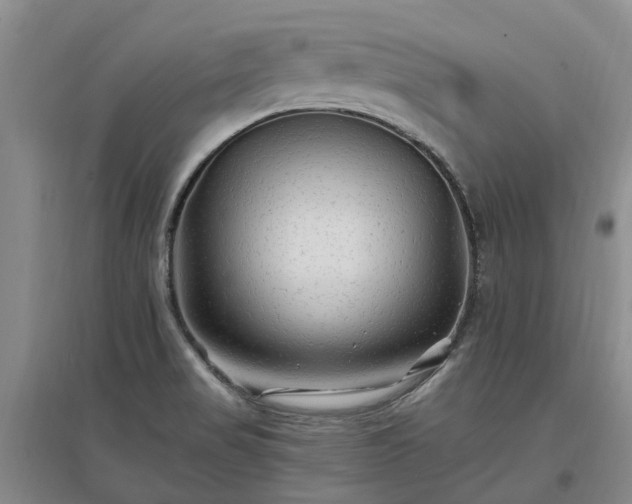 X0000096991517200802151341
