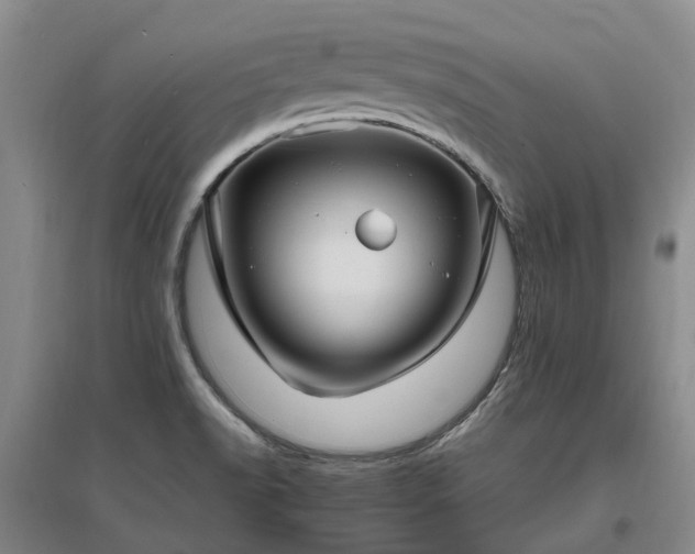 X0000096991518200802151341