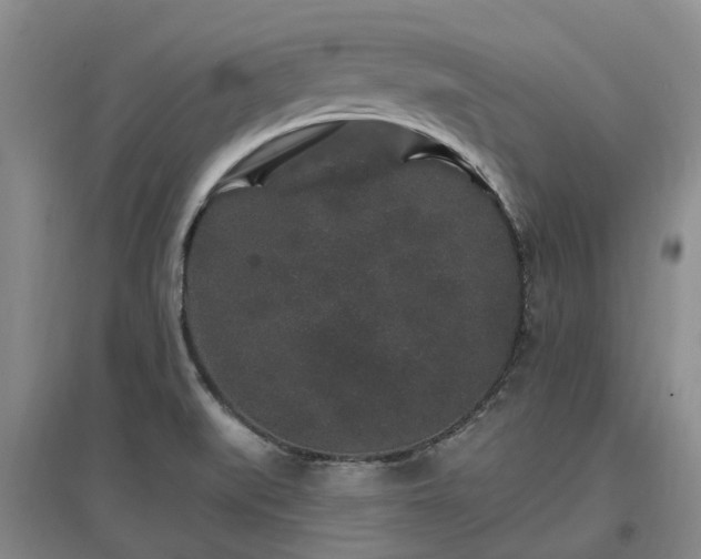 X0000096991519200802151341