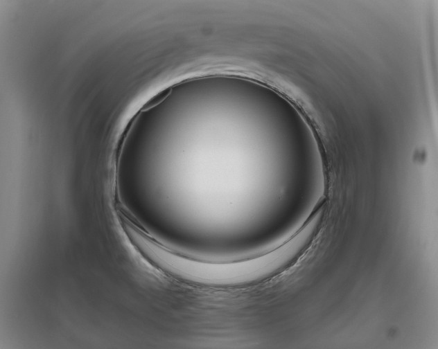 X0000096991520200802151341