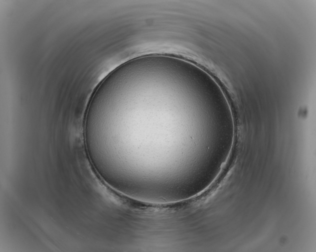 X0000096991521200802151341