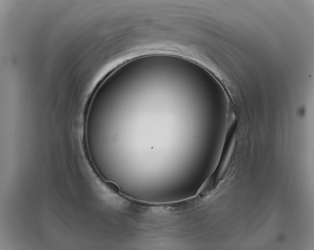 X0000096991523200802151341