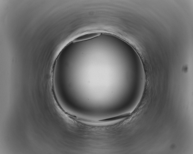 X0000096991524200802151341