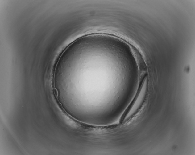 X0000096991525200802151341