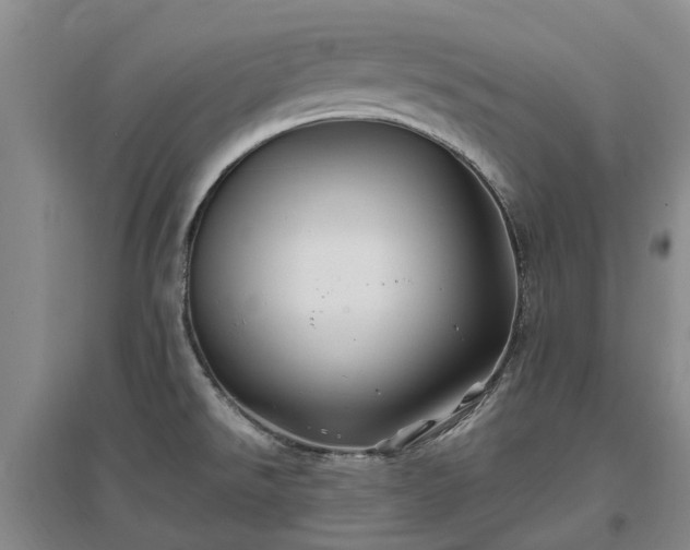 X0000096991526200802151341