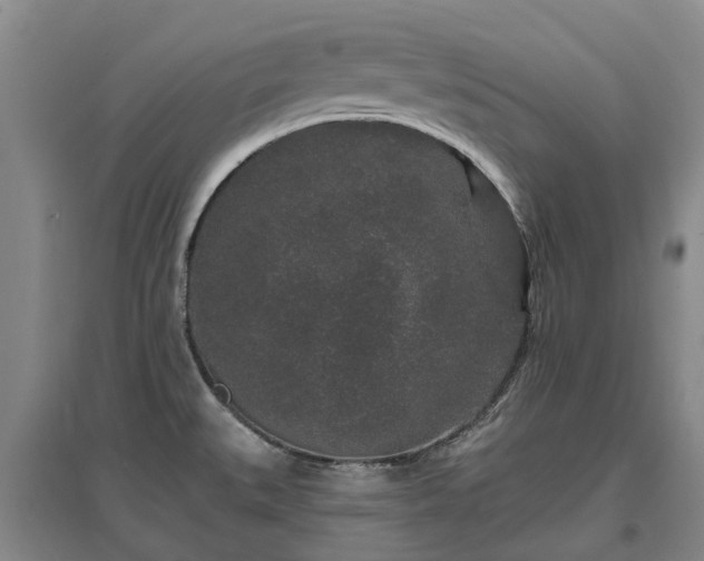 X0000096991527200802151341