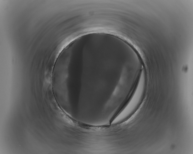 X0000096991529200802151341