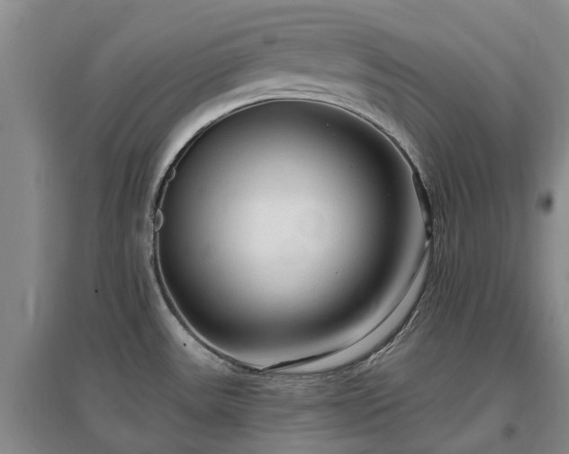 X0000096991531200802151341
