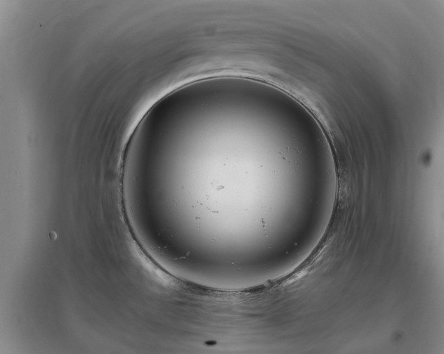 X0000096991532200802151341