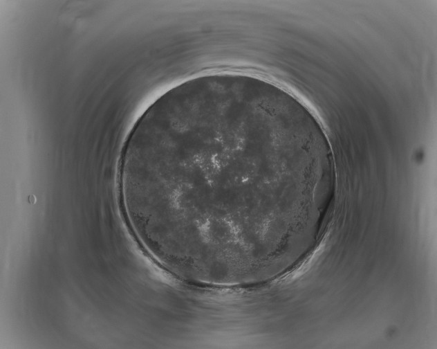X0000096991533200802151341