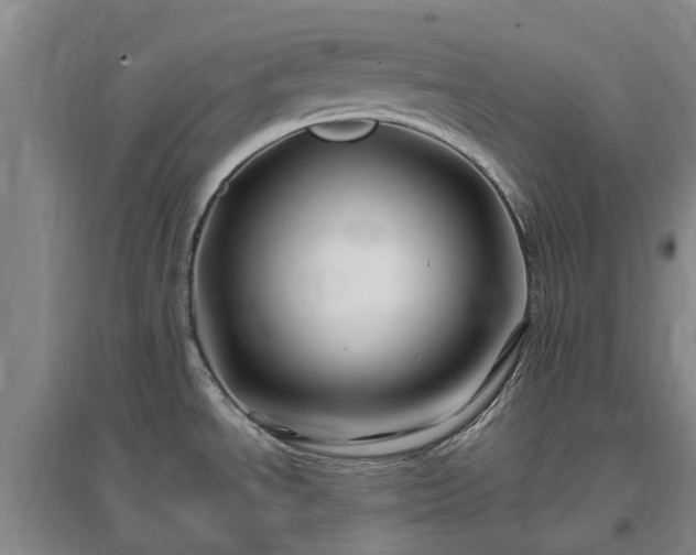 X0000096991534200802151341