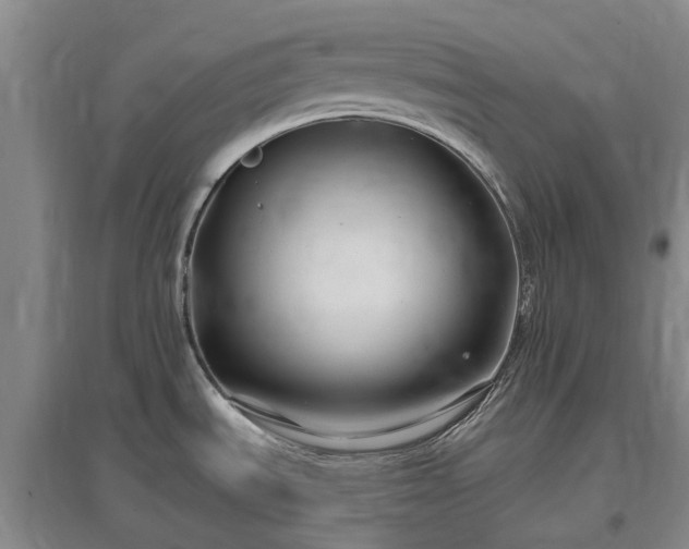 X0000096991535200802151341
