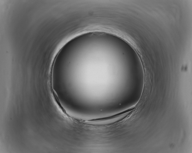 X0000096991536200802151341